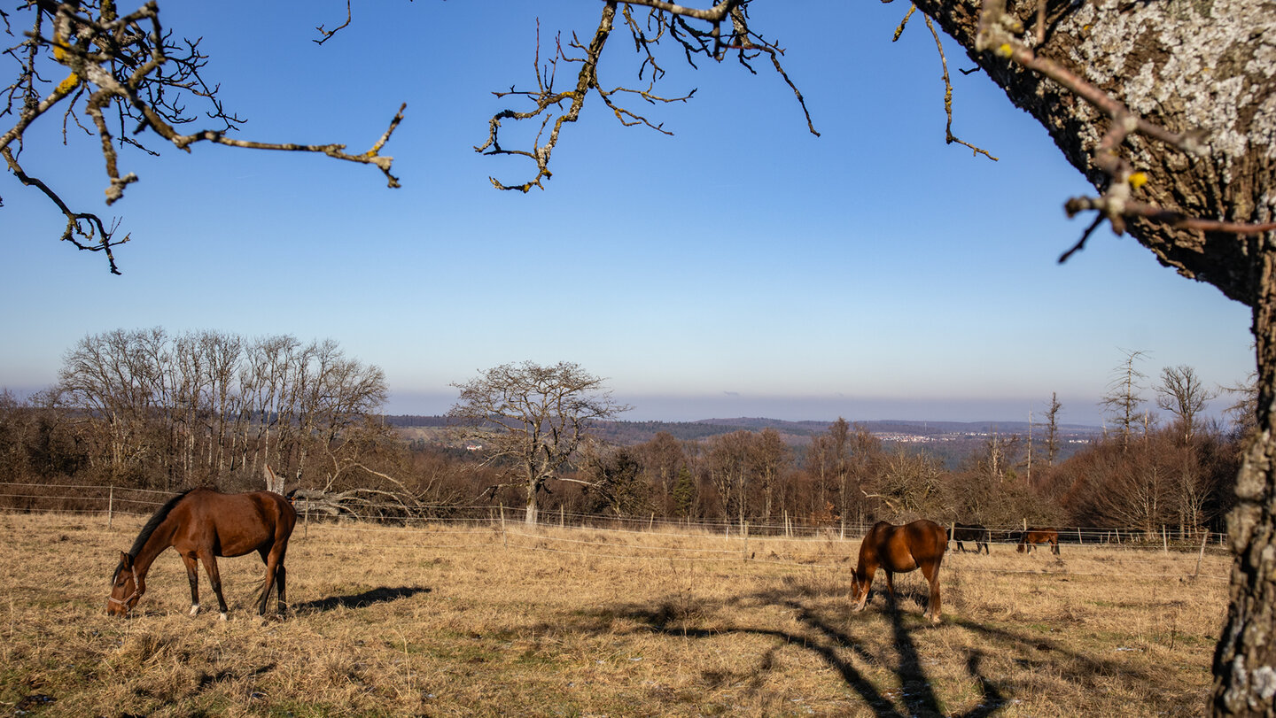 Fernblick von Mittelberg