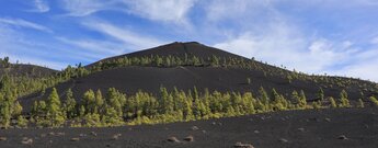 Ausblick auf den Volcán Martín mit dem Wanderweg Ruta de los Volcánes