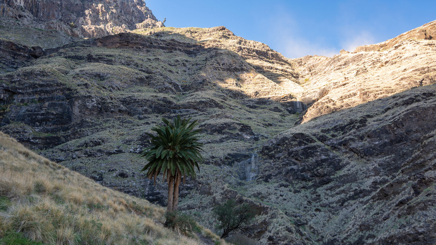Bergflanken im Tamadaba-Massiv auf Gran Canaria