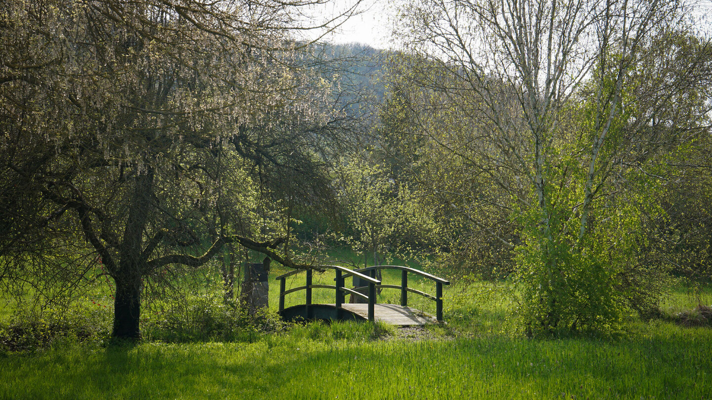 kleine Brücke im Schlossgarten