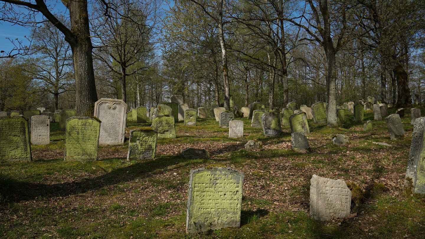 jüdischer Friedhof in Kleinbardorf