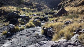 Wanderung entlang Bachbetts durch das Barranco del Risco