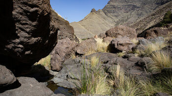 Findlinge und Wassergumpen in der Risco-schlucht