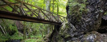 Holzbrücke über die untere Ravennaschlucht