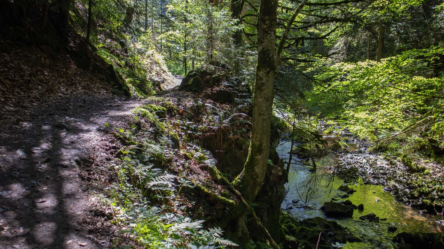 Wanderweg entlang der oberen Ravennaschlucht