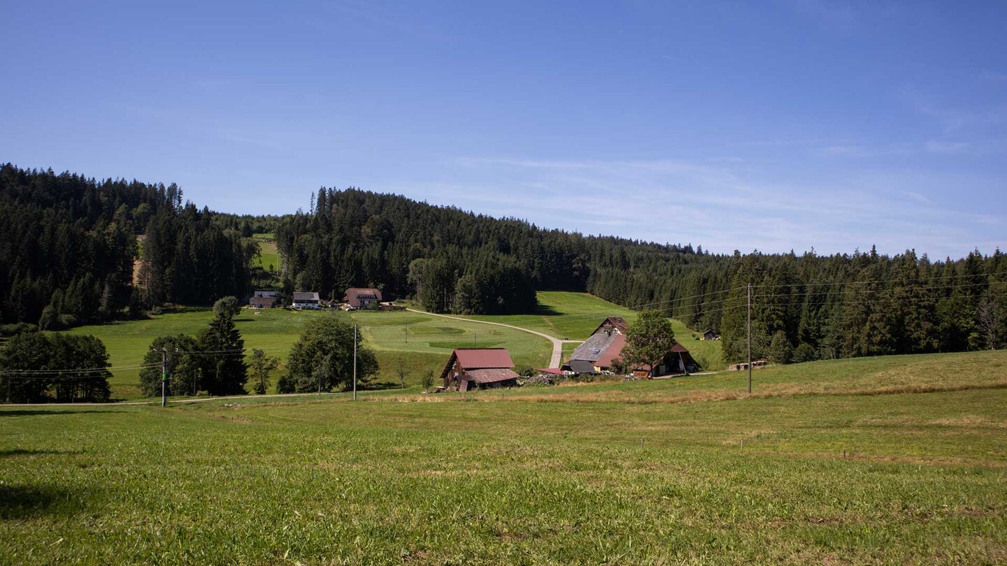 Föhrwaldweg bei Ödenbach
