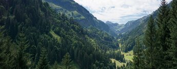 Rappenalptal ist ein Seitental zum Stillachtal im Allgäu