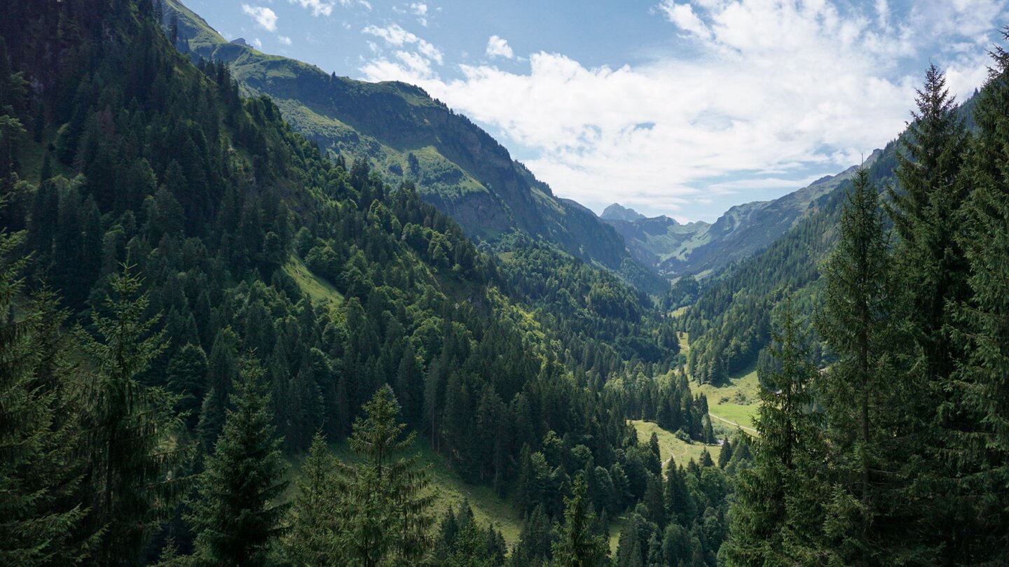 das Rappenalptal ist ein hochalpines Seitental zum Stillachtal in den Allgäuer Alpen Rappenalptal ist ein Seitental zum Stillachtal im Allgäu