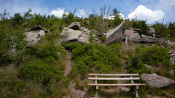 Aussichtsbank am Wanderweg von der Hornisgrinde