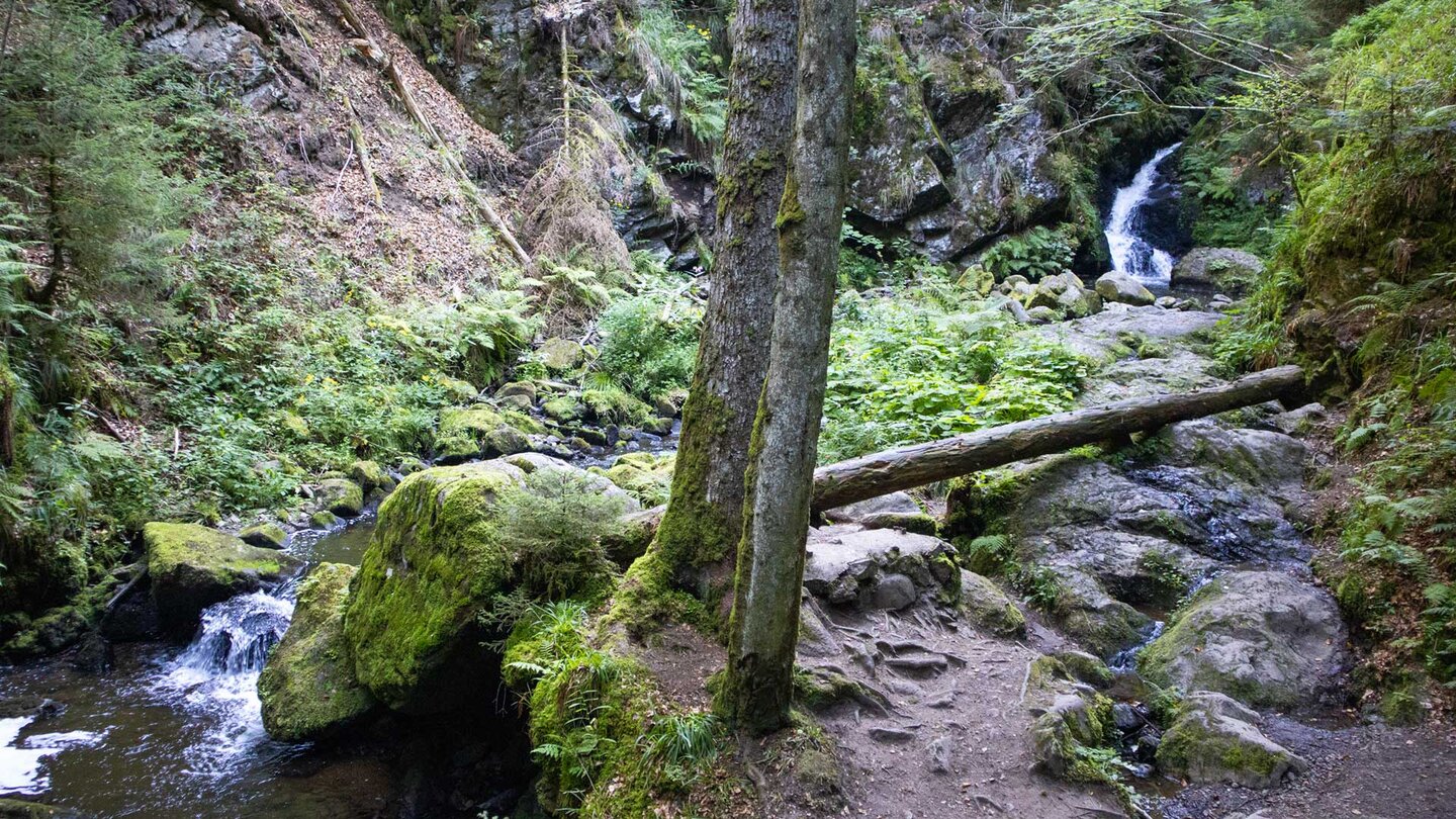 Wanderpfad durch die Ravennaschlucht