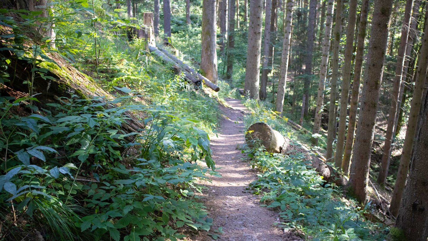 Wanderweg zur Ravennasäge