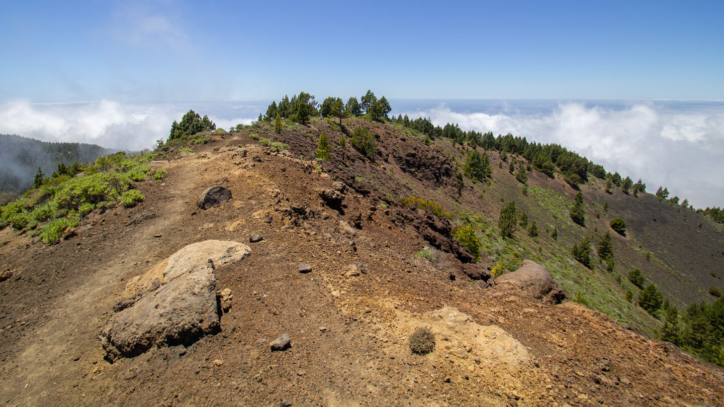 Gipfelpfad auf der Cumbre Vieja Gipfelpfad auf der Cumbre Vieja