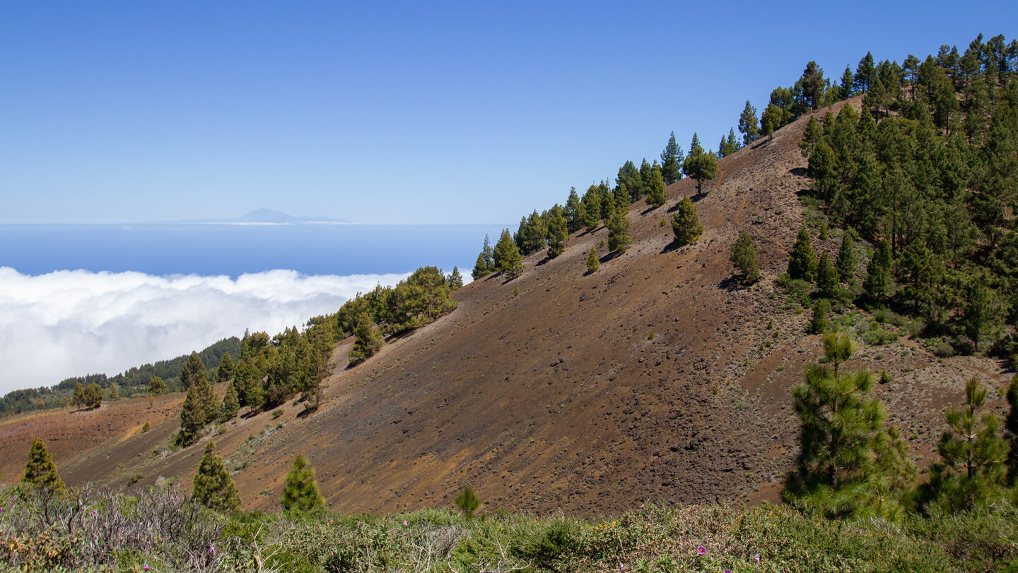 Ausblick über die Flanke des Montaña Pelada auf die Insel Teneriffa