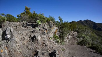 Wanderung auf dem PR-TF 51 entlang der Cumbre