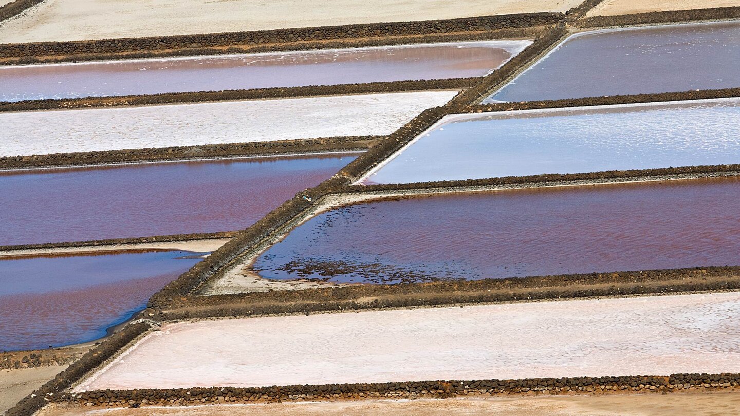 terrassierte Salzbecken in unterschiedlichen Trocknungsstufen in den Salinas de Janubio auf Lanzarote