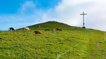 Wanderweg zum Pferdskopf
