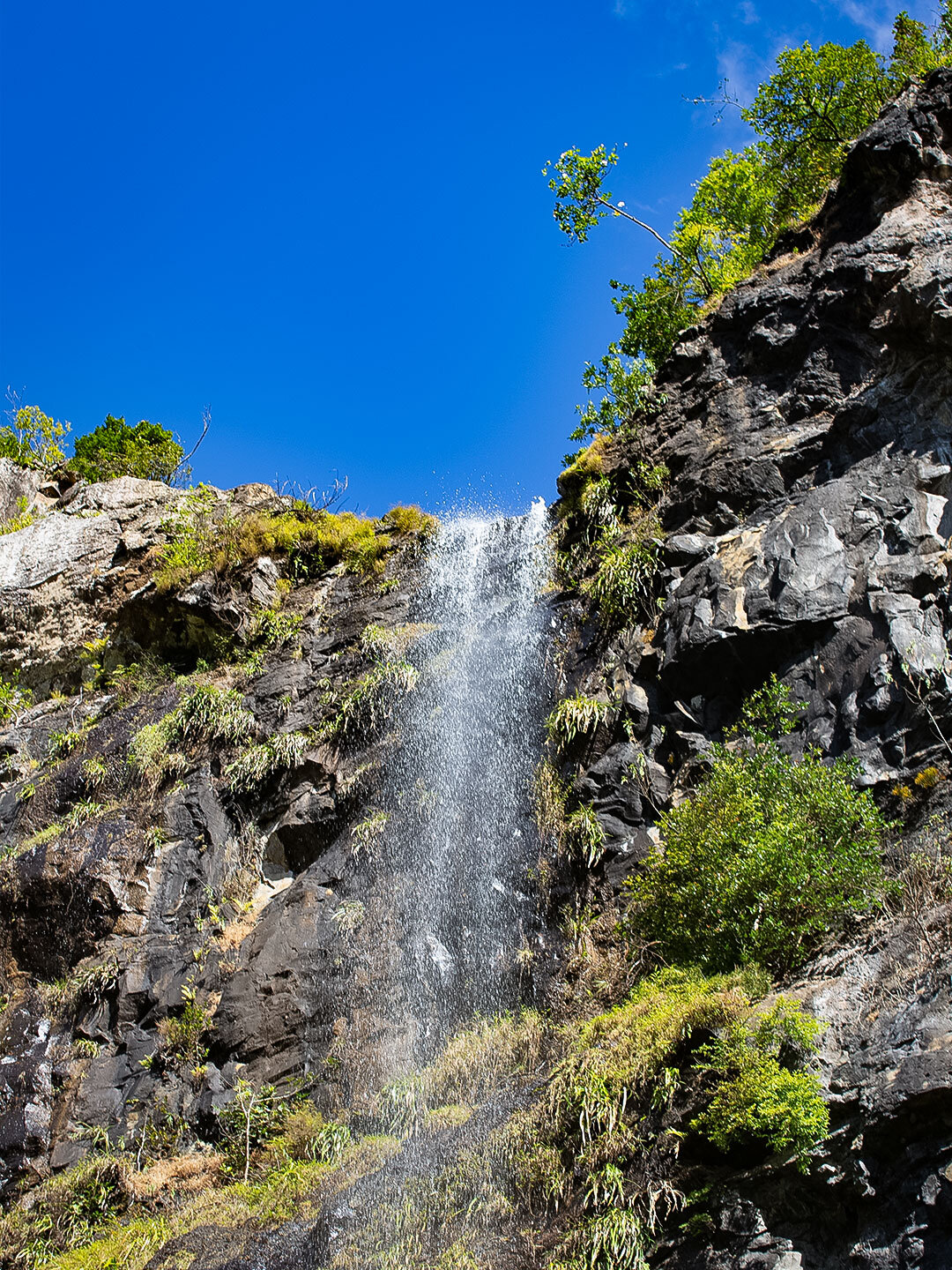 der Mare Aux Joncs Wasserfall auf Mauritius der Mare Aux Joncs Wasserfall auf Mauritius