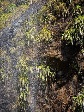 Wasservorhang am Mare Aux Joncs Wasserfall