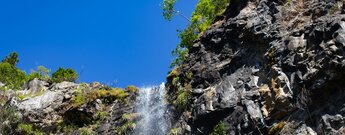 Mare Aux Joncs Wasserfall - Mauritius
