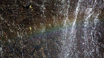 Details am Mare Aux Joncs Wasserfall