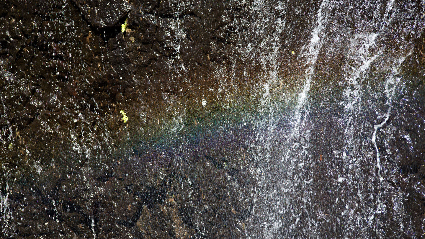 Details am Mare Aux Joncs Wasserfall Details am Mare Aux Joncs Wasserfall