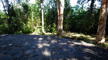 Wanderweg am Besucherzentrum im Black River George Nationalpark