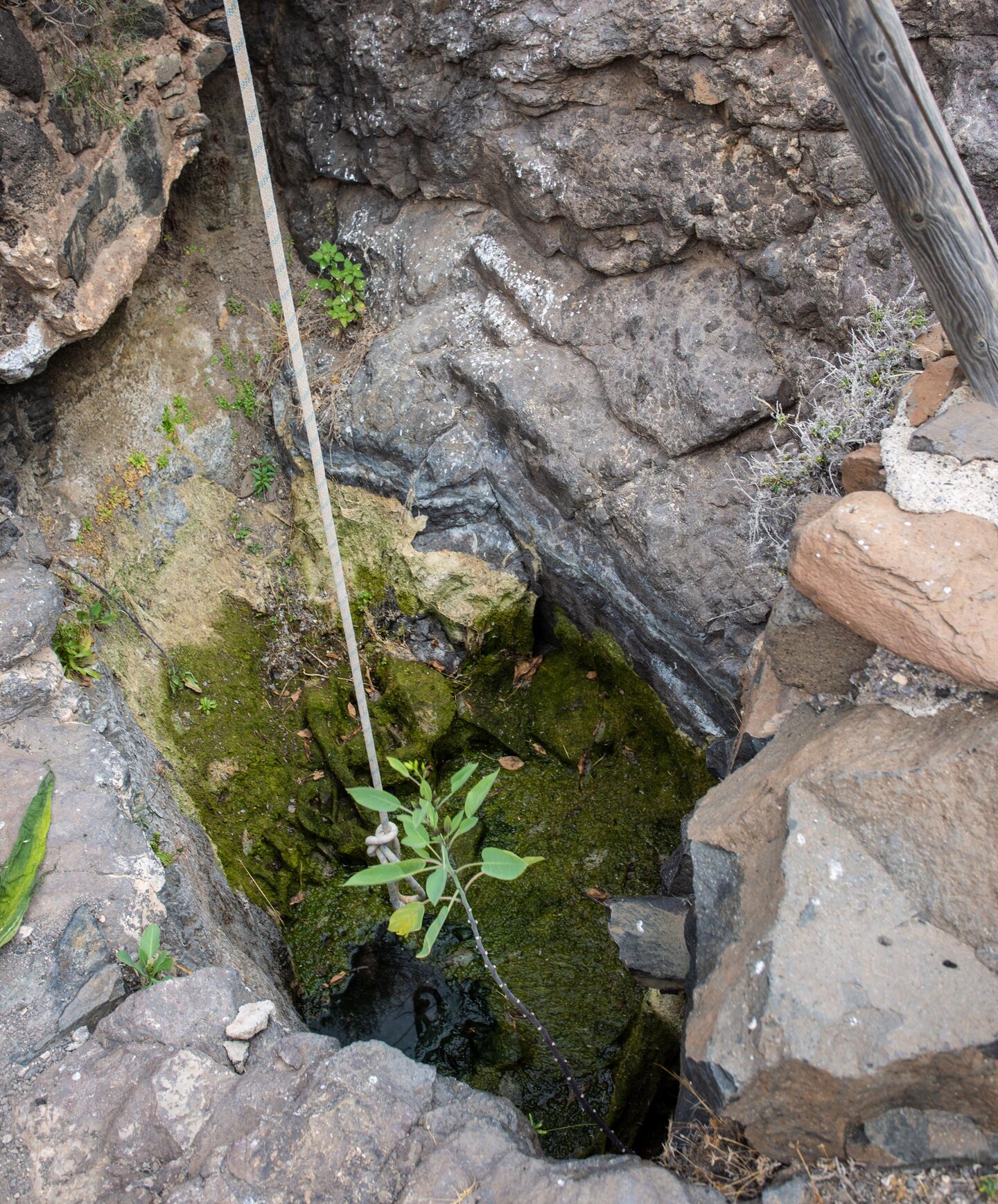 Zugbrunnen an einer Quelle
