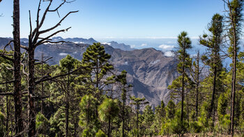 Blick über die Berge und Schluchten Gran Canarias zur Küste