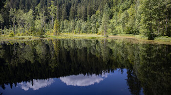 Aussicht über Ellbachsee