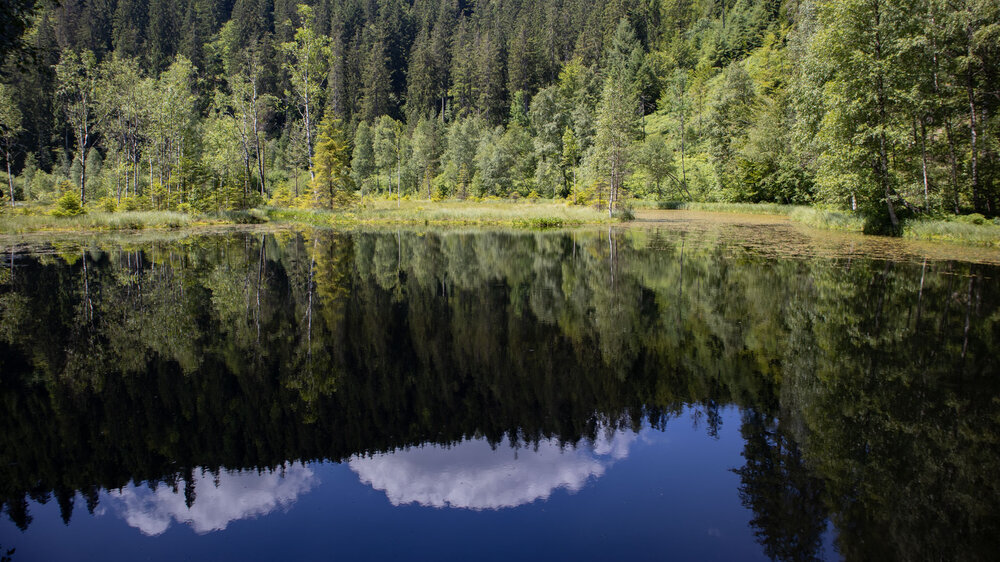 Ausblick über den Ellbachsee Aussicht über Ellbachsee