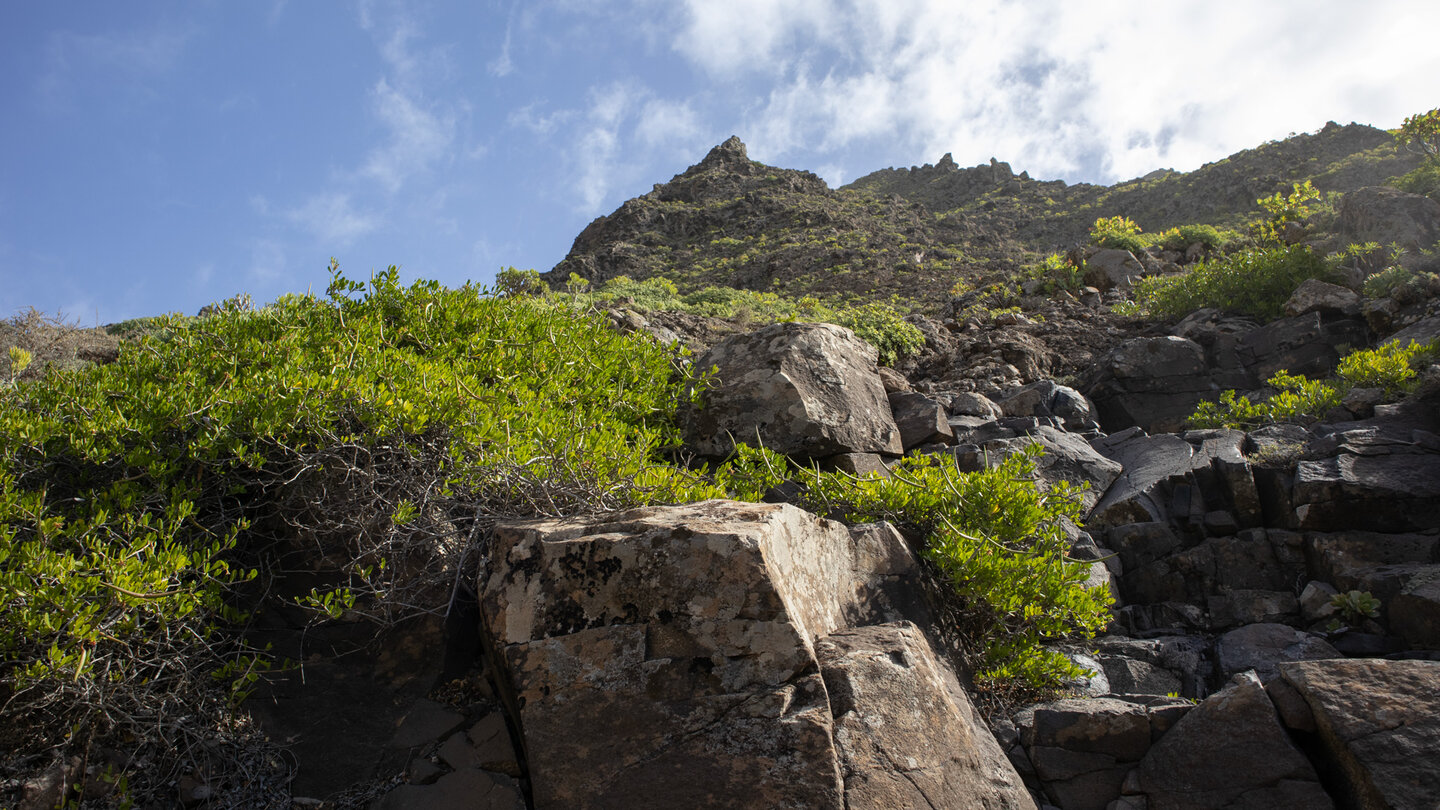 zerklüftete Berggipfel im Famara-Massiv