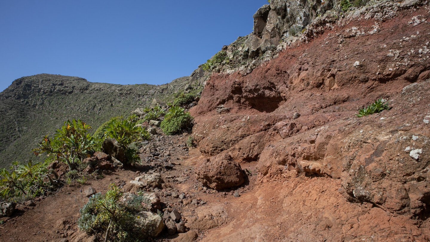 Wanderung durchs Barranco de la Poceta aufs Famara-Riff