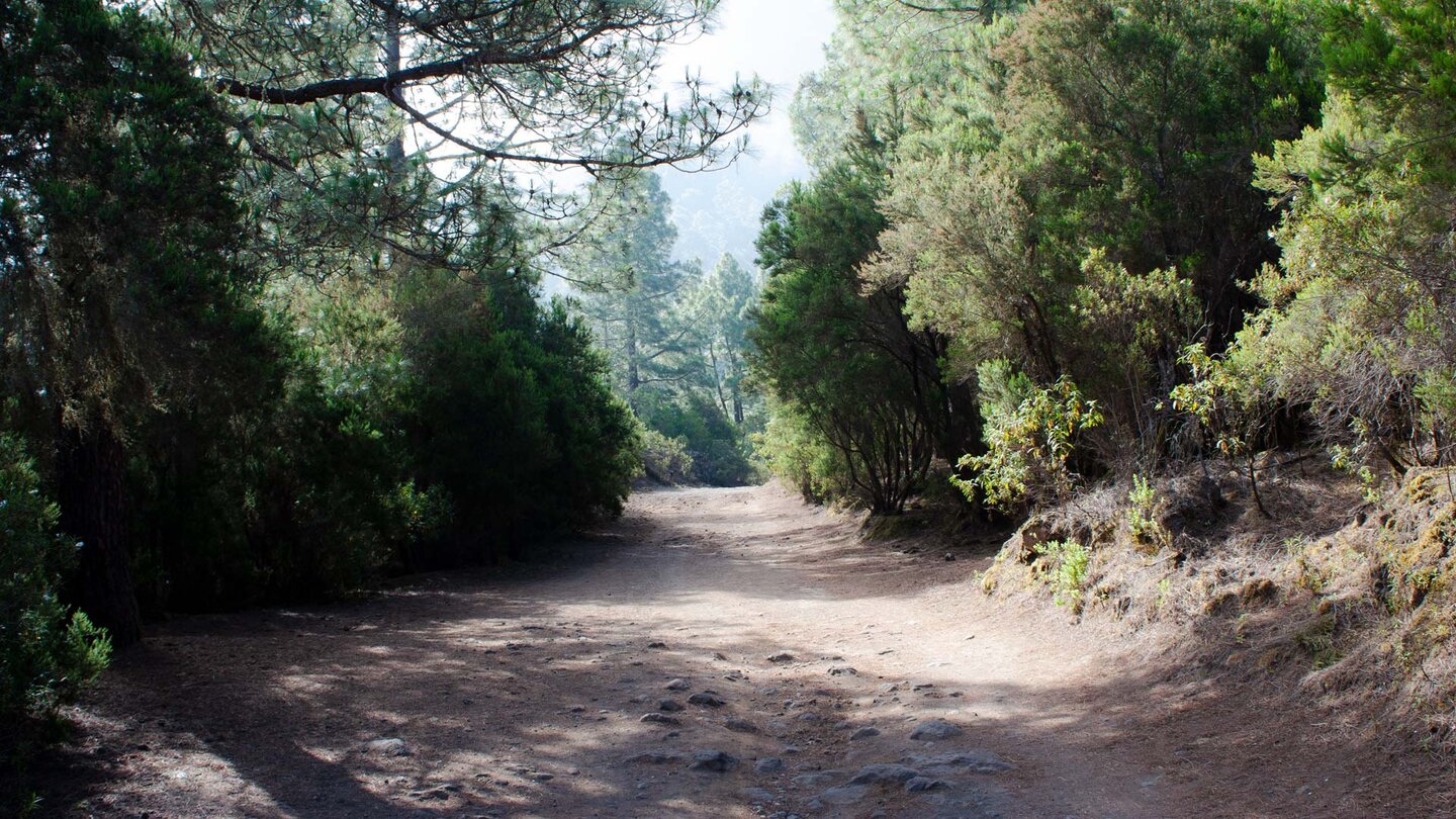 Rückweg über die Pista Mamio nach La Caldera