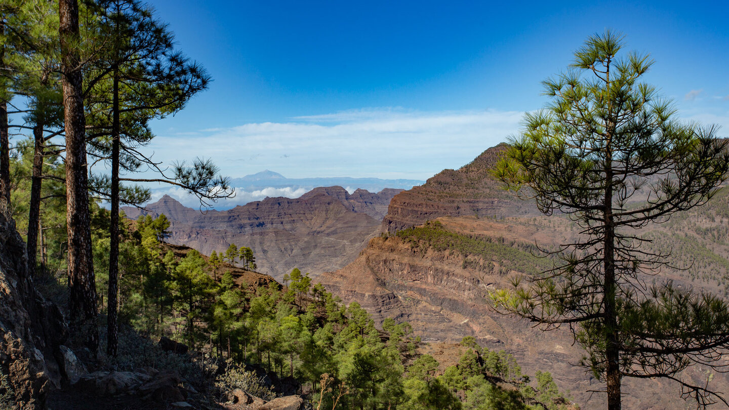 Ausblick bei Aufstieg zum Tauro auf Teneriffa