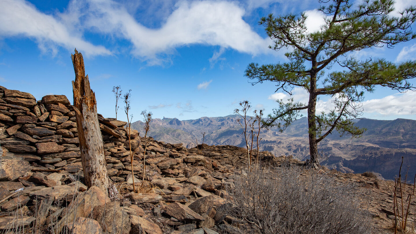 Trockenschichtmauern auf dem Hochplateau de Montaña de Tauro