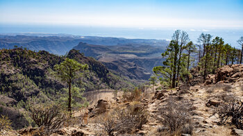 Blick in den Süden Gran Canarias von der Rundtour um den Montaña de Tauro