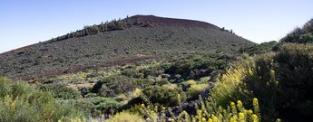 der Vulkankegel des Montaña Guamaso vom Wanderweg 14