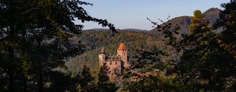 Blick zur Burg Berwartstein beim Aufstieg zum Grünberg