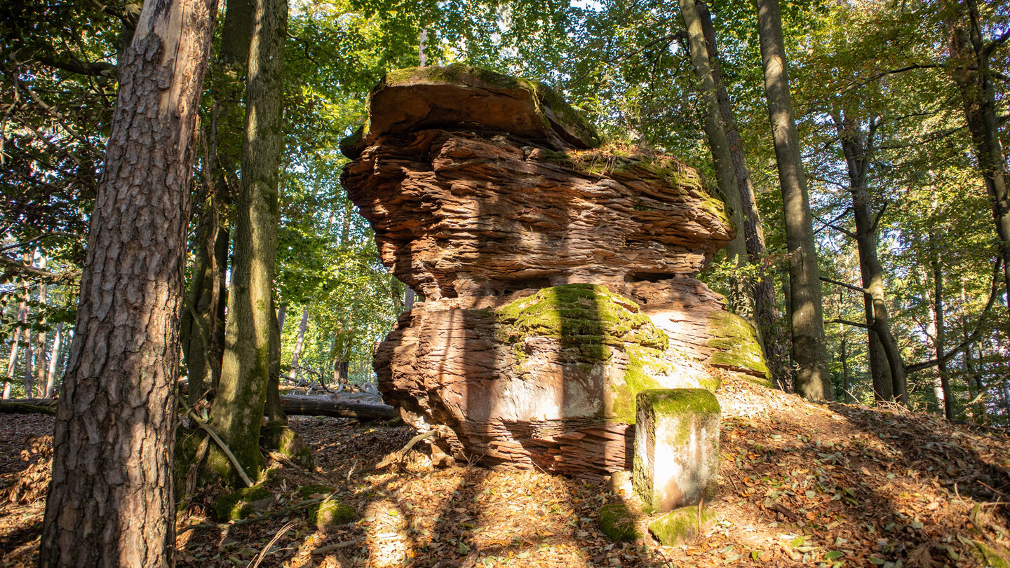 Moosbedecktes Buntsandstein-Türmchen am Grünberg im Dahner Felsenland