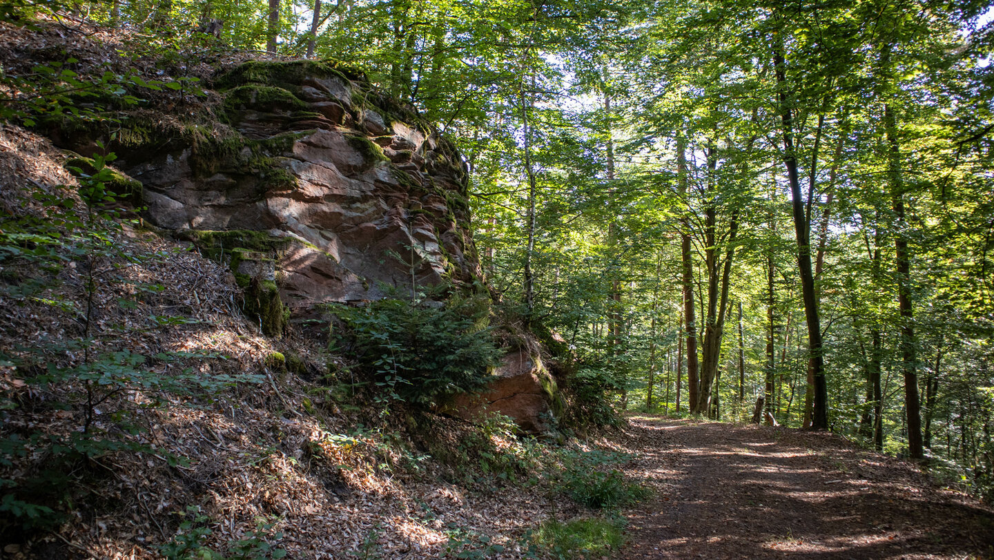 dyllischer Wanderweg ins Portzbachtal im Dahner Felsenland