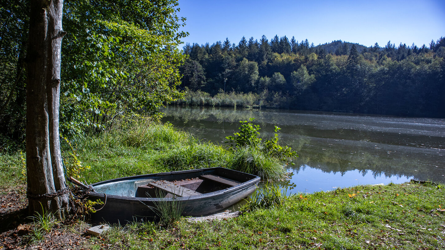 Altes Ruderboot am Ufer des Weihers im Portzbachtal