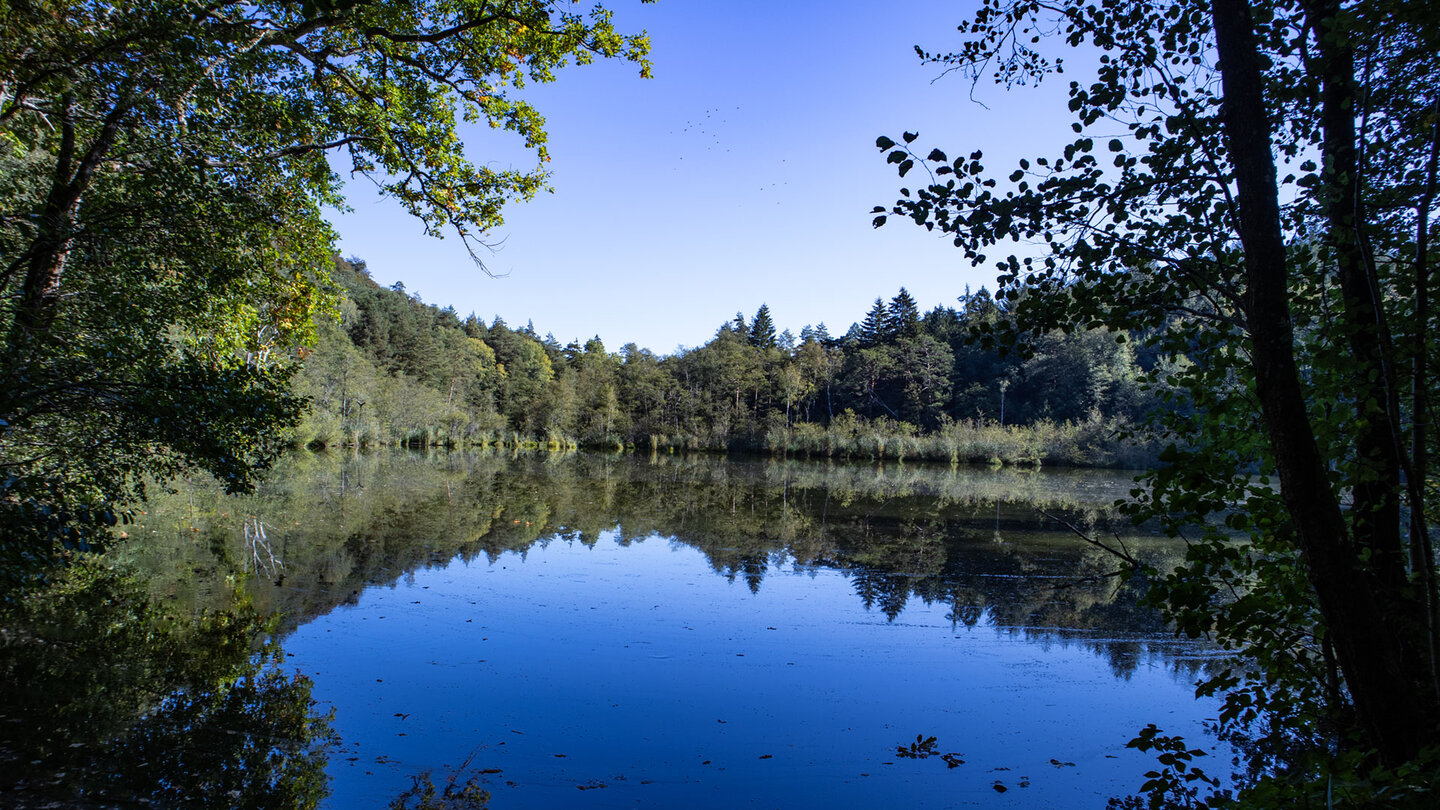 Idyllischer Waldsee im Portzbachtal bei der Berwartstein-Wanderung