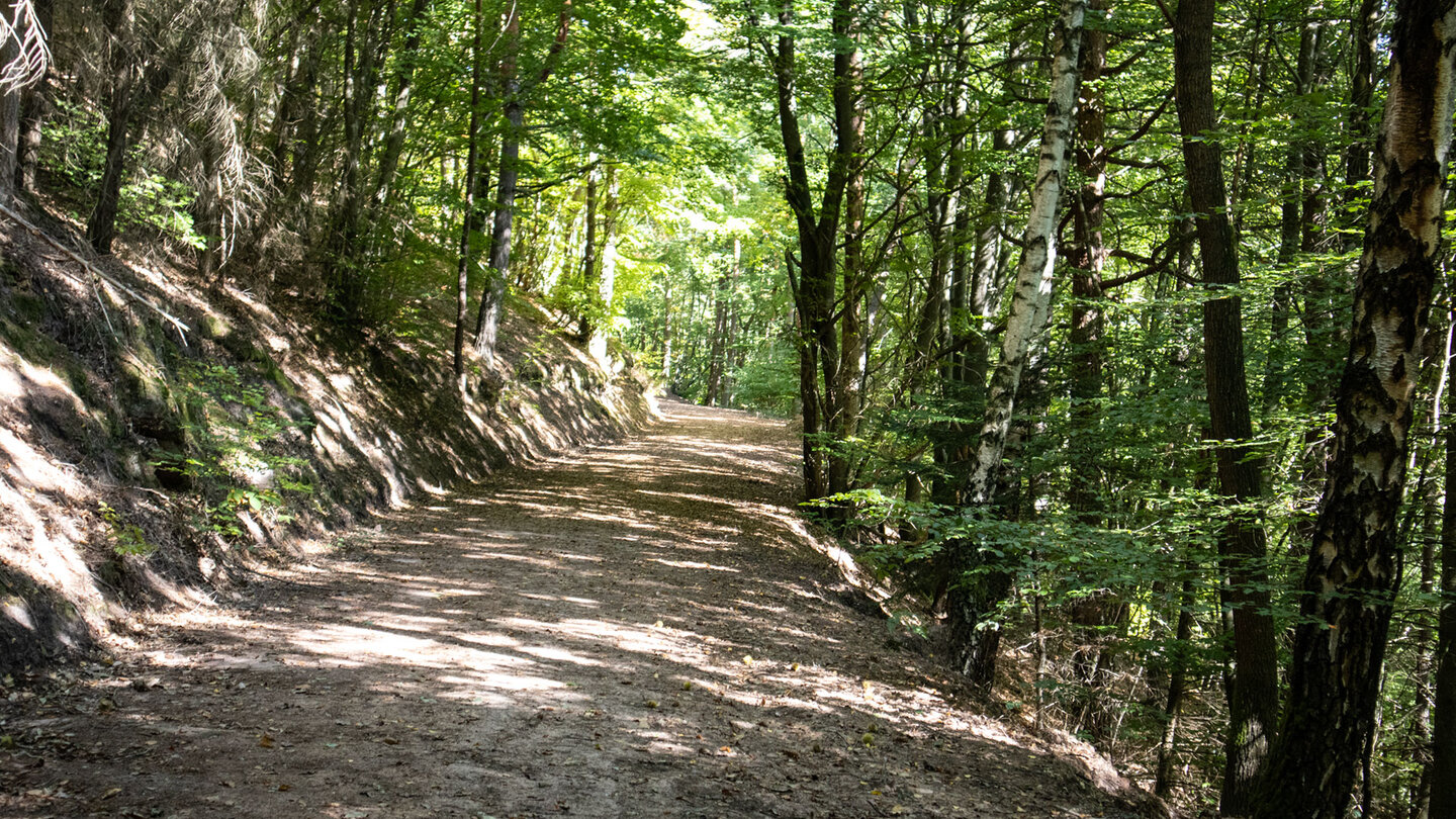 Breiter Waldweg Richtung Kleinfrankreich bei der Berwartstein-Rundwanderung