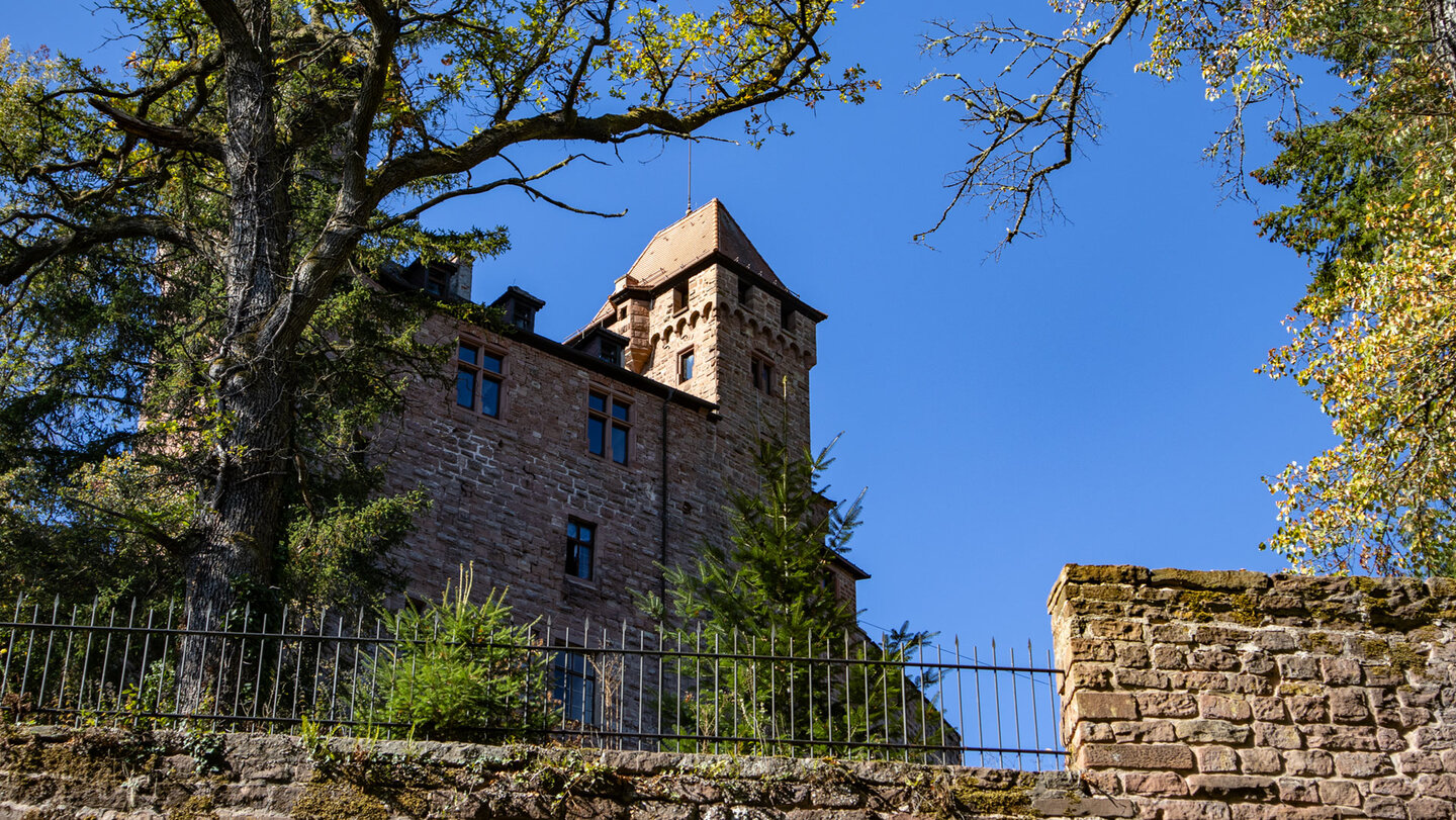 Burg Berwartstein über Burgmauer und Gitter