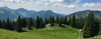 Blick auf das Bergpanorama mit saftigen Almwiesen entlang des Wegs