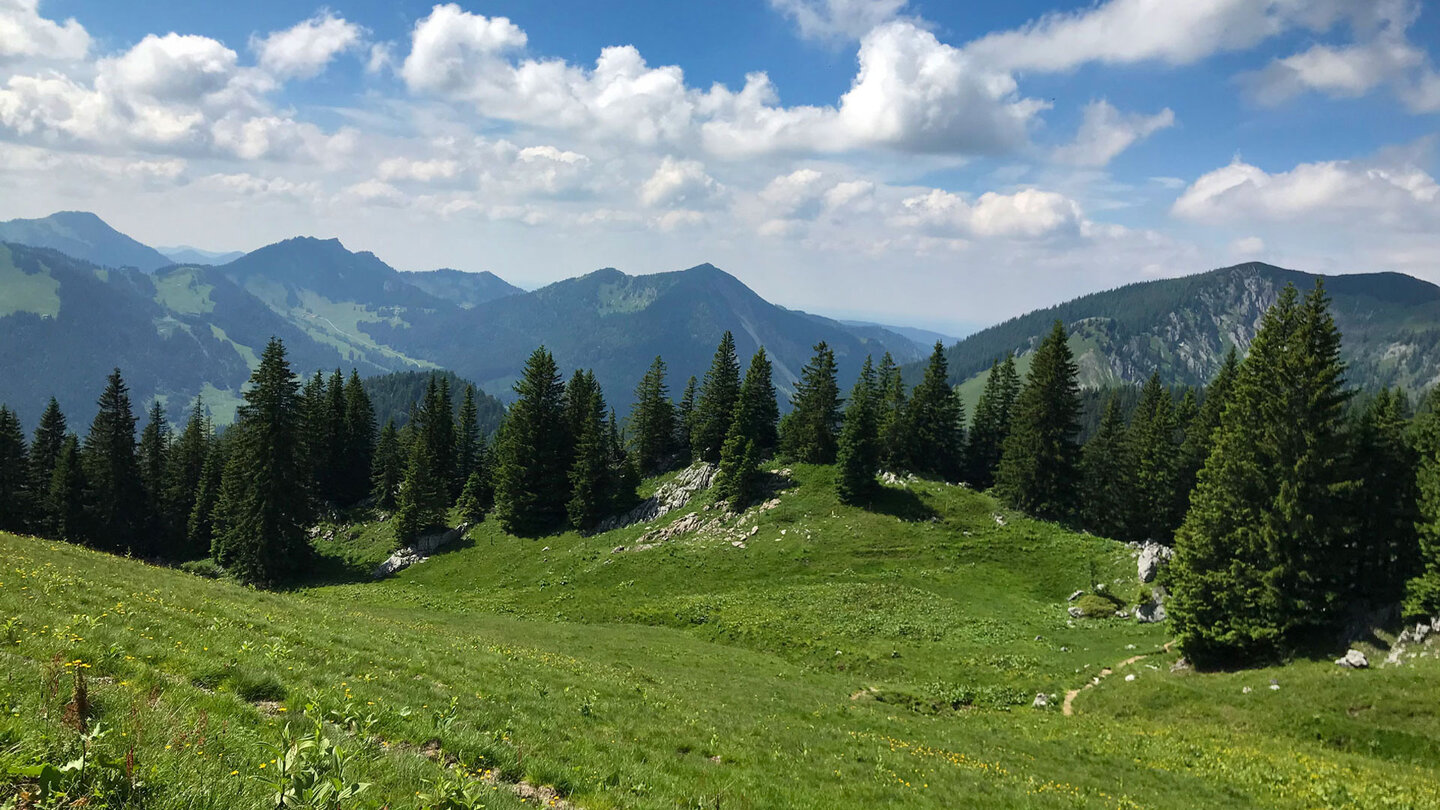Blick auf das Bergpanorama mit saftigen Almwiesen entlang des Wegs