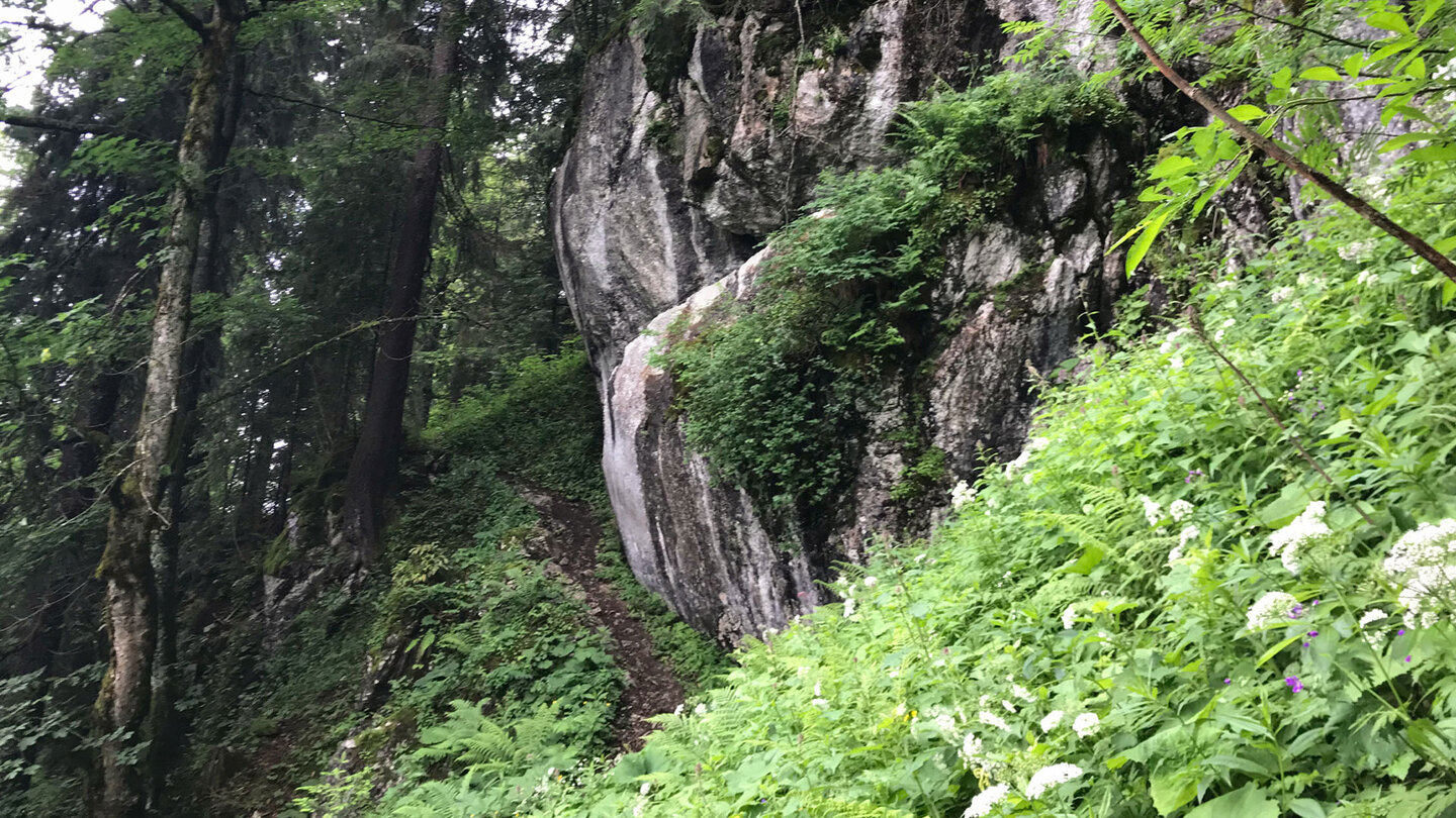 Blick auf Felswände am Bergwanderpfad