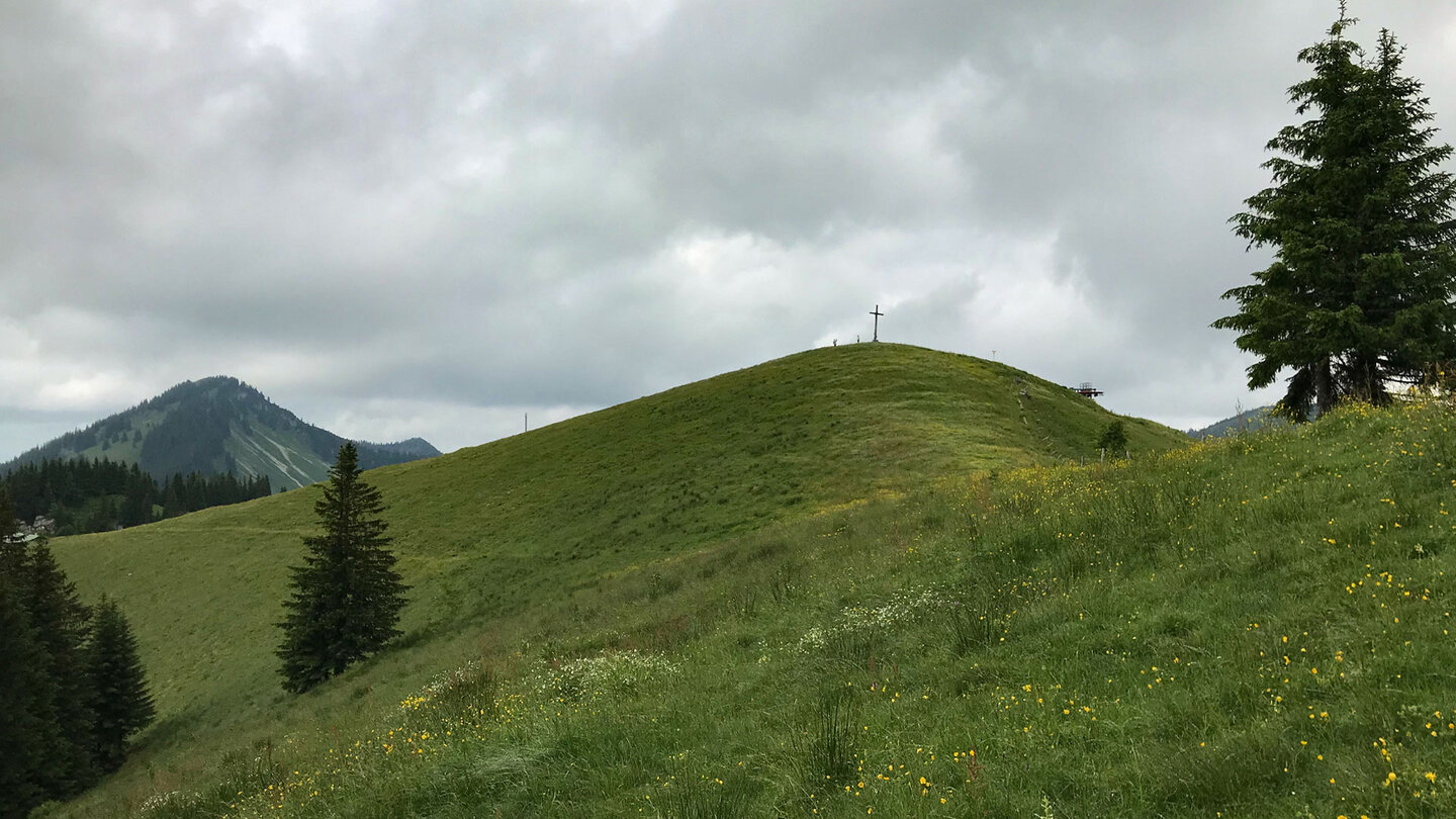 unbewaldeter Rosskopf mit seinem Gipfelkreuz