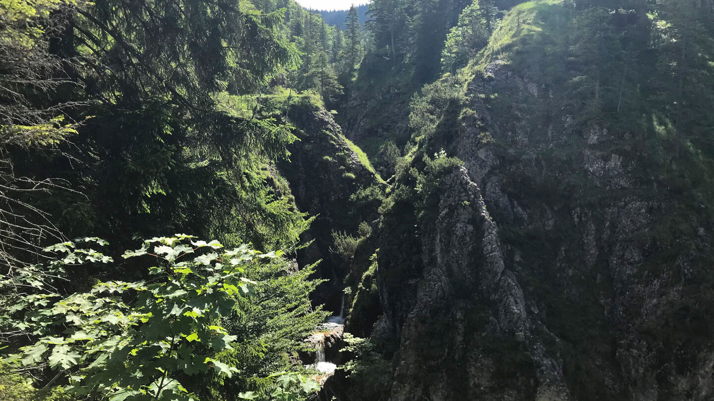 steile Felswände  am Pfanngraben auf dem Wanderweg zur Rotwand