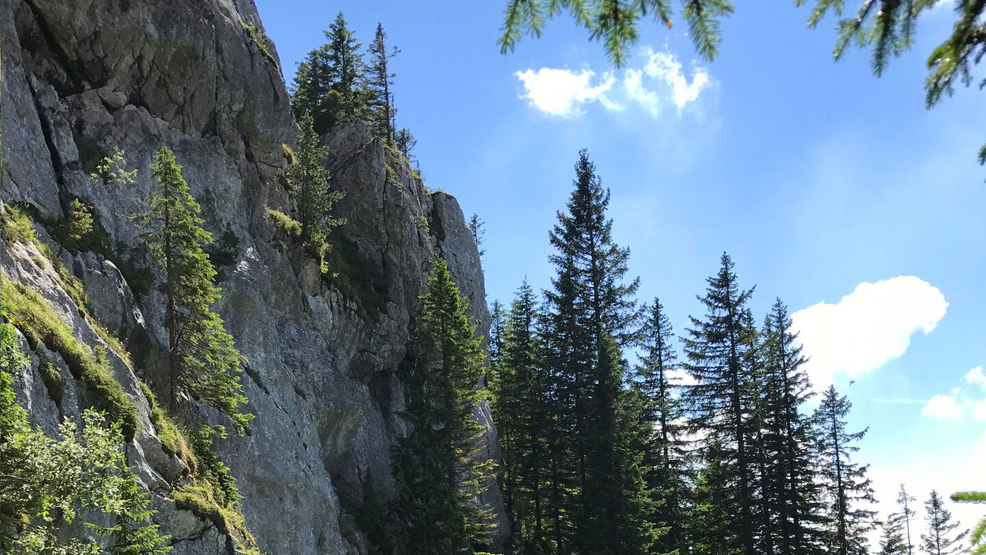 die Granitfelsen bei der Unteren Wallenburg Alm